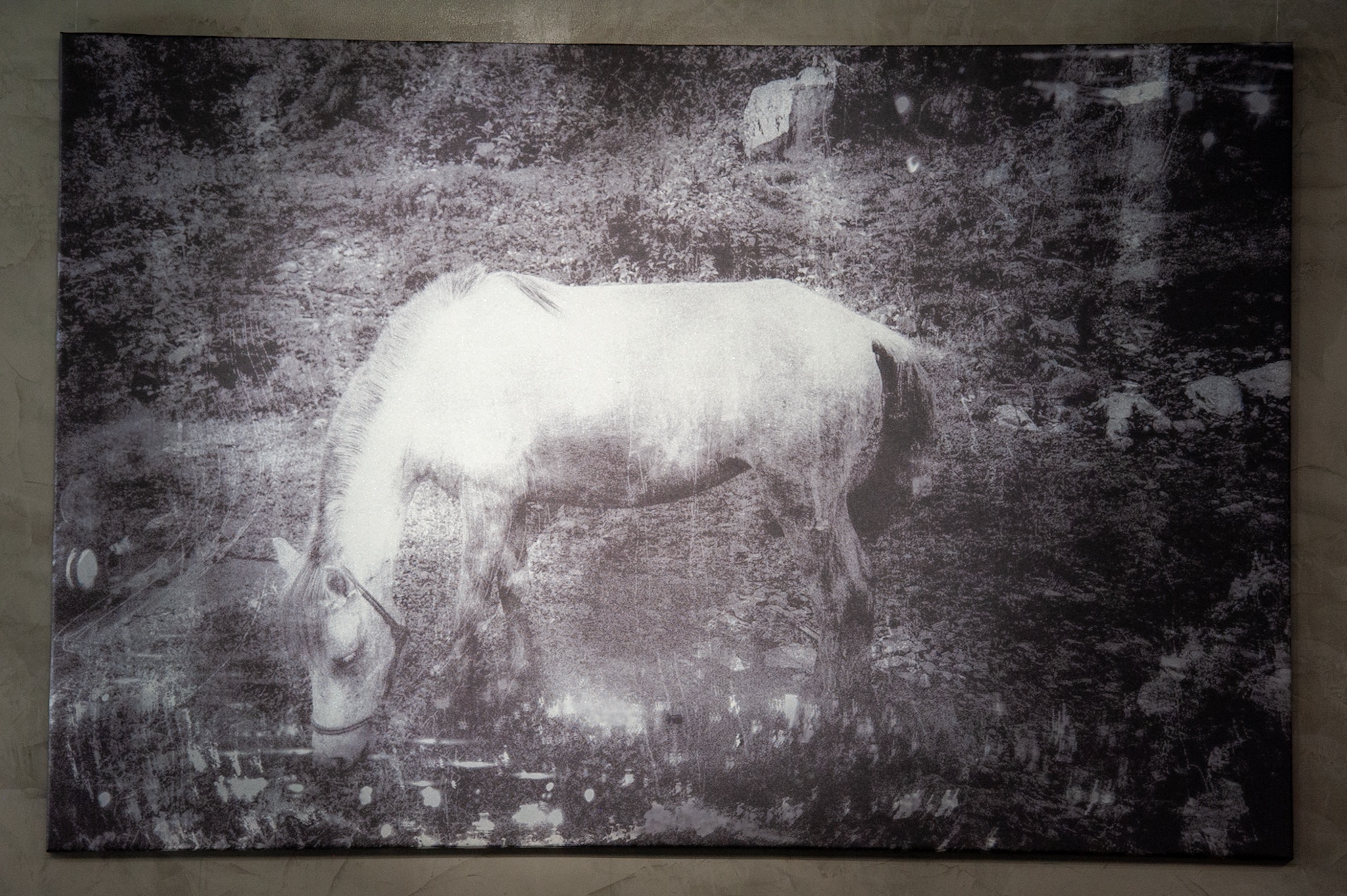 Mam Song Trong Dem,  Nguyen Phuong,  Toong,  nhiep anh gia,  trien lam nghe thuat,  dai hoc my thuat anh 7