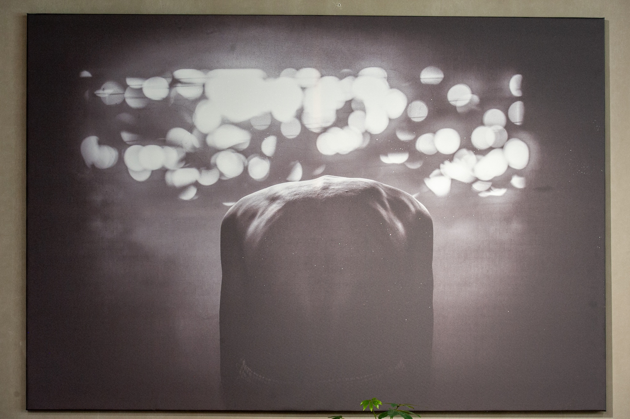 Mam Song Trong Dem,  Nguyen Phuong,  Toong,  nhiep anh gia,  trien lam nghe thuat,  dai hoc my thuat anh 3