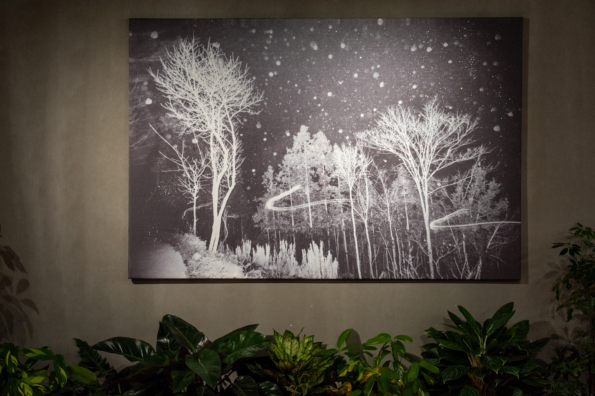 Mam Song Trong Dem,  Nguyen Phuong,  Toong,  nhiep anh gia,  trien lam nghe thuat,  dai hoc my thuat anh 4