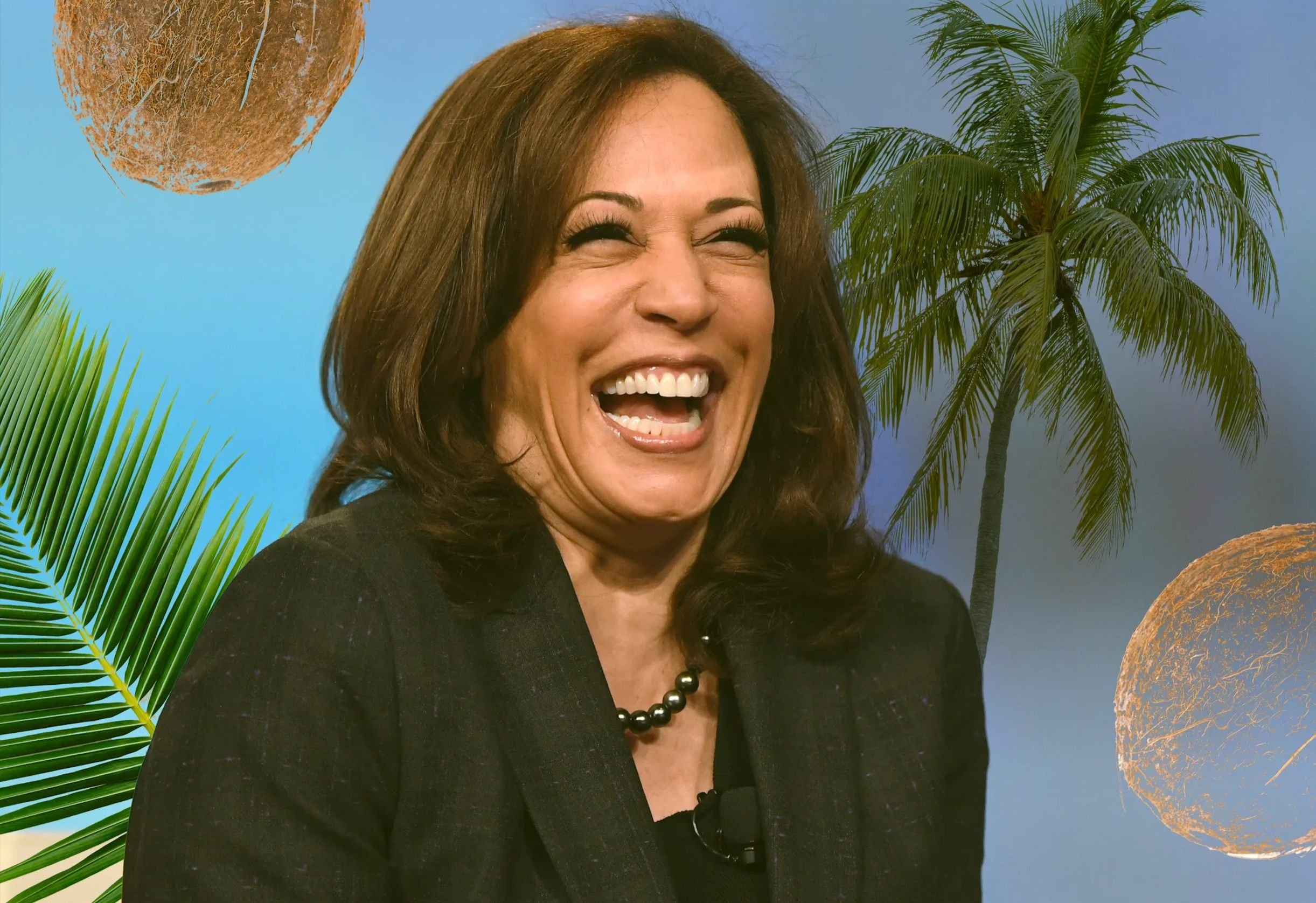 'Trai dua' cua ba Harris lam MXH day song hinh anh