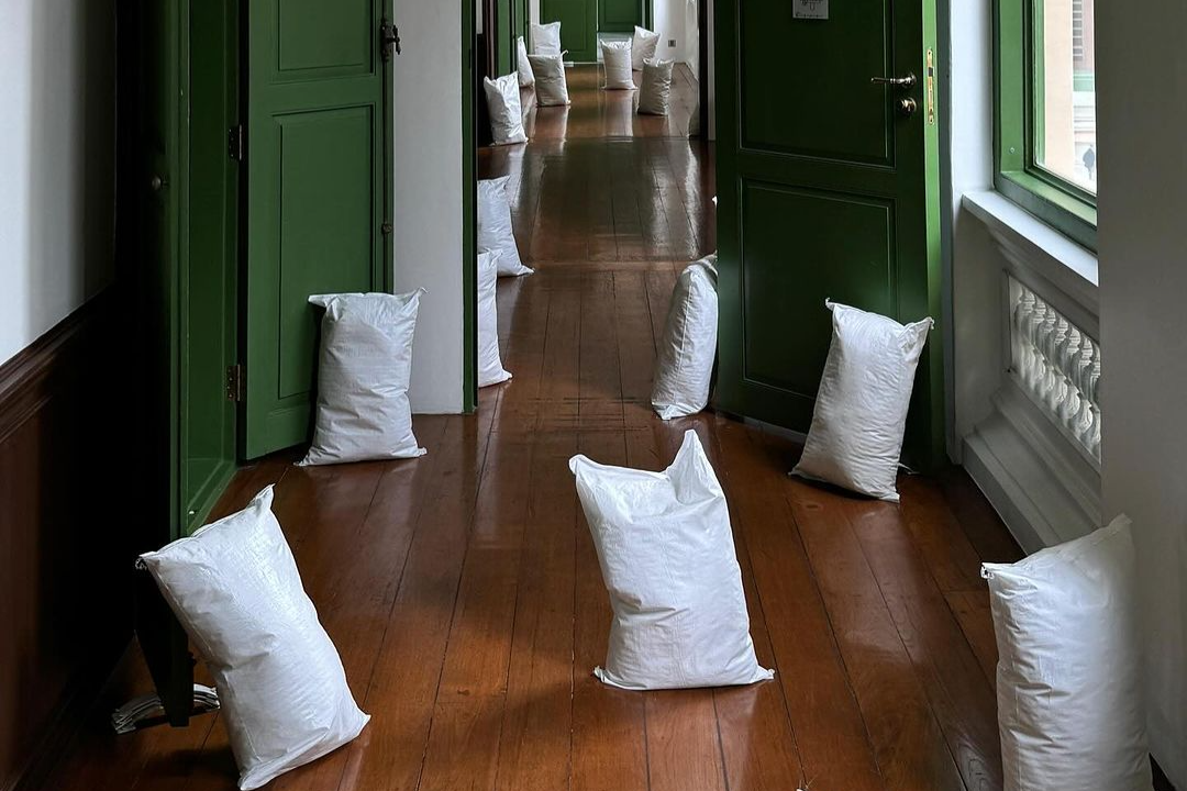 Trien lam ve gao cua Tran Quang Dai bi che hinh anh