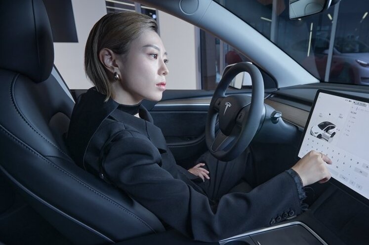 'Xa thu ngau nhat hanh tinh' bat tay voi Tesla, Louis Vuitton hinh anh