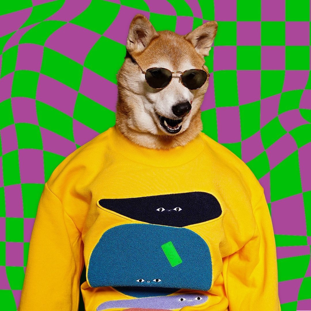 264605835_888661138689431_4513280621669070627_n.jpg