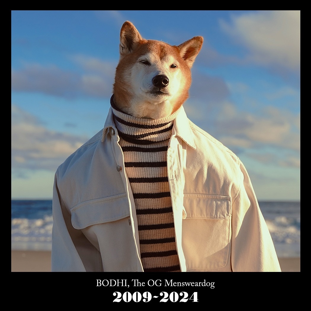 468539300_18480287911044049_4404111697187731694_n.jpg