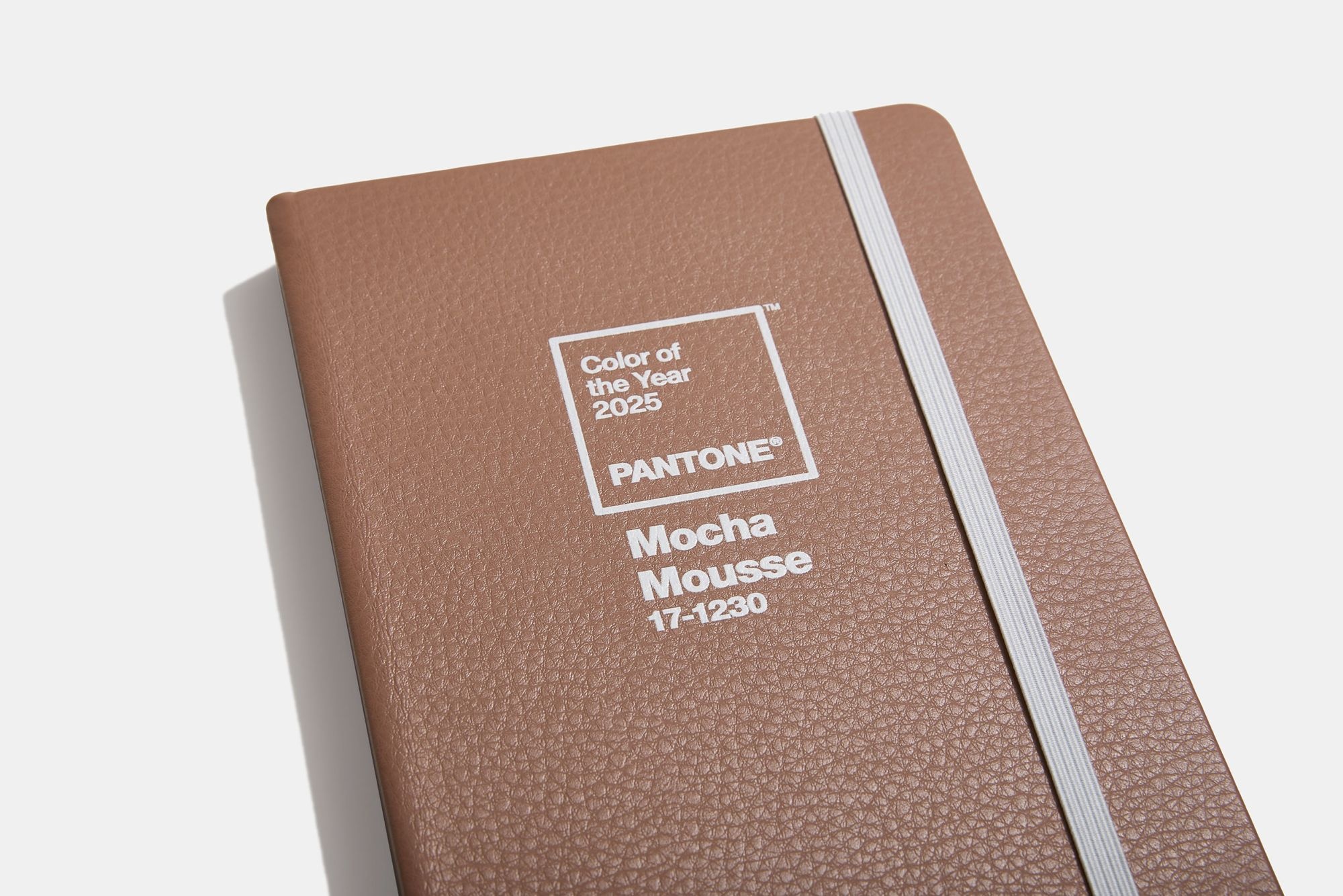 pantone_17_1230_mocha_mousse_vegan_notebook_3.jpg