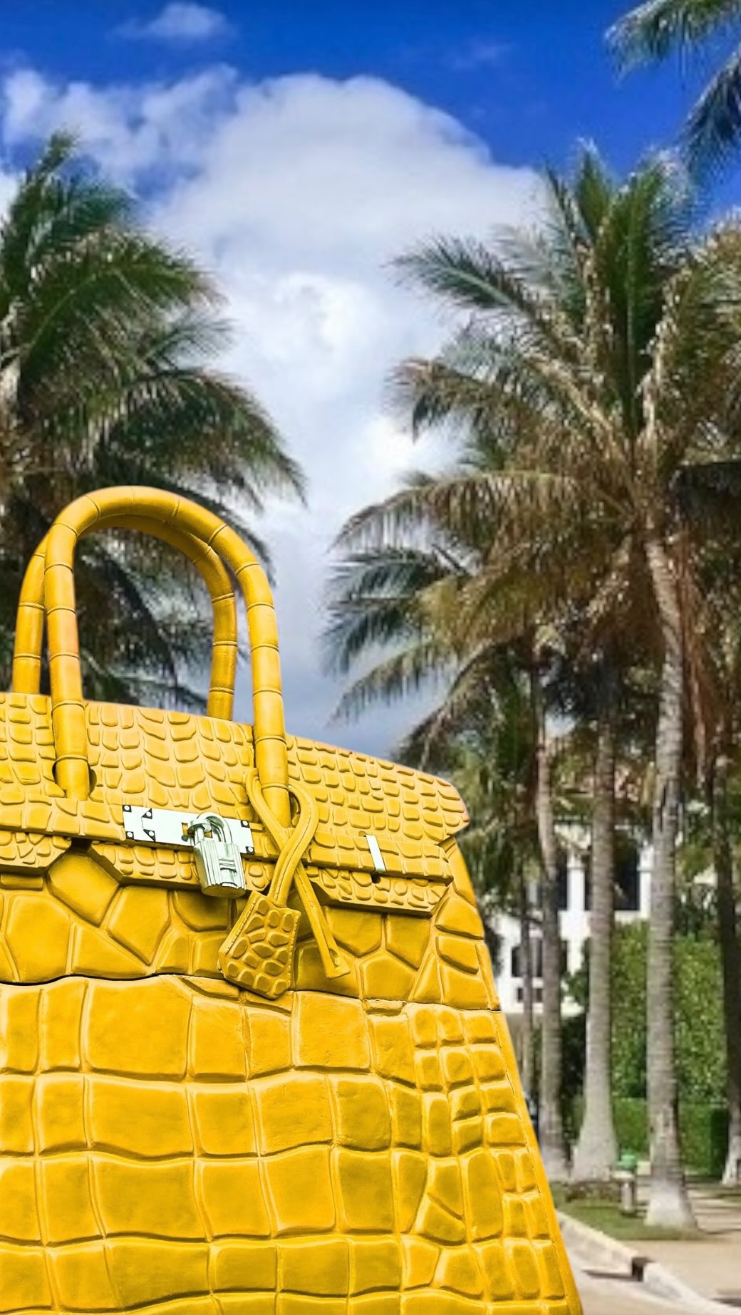 Túi Hermès Birkin