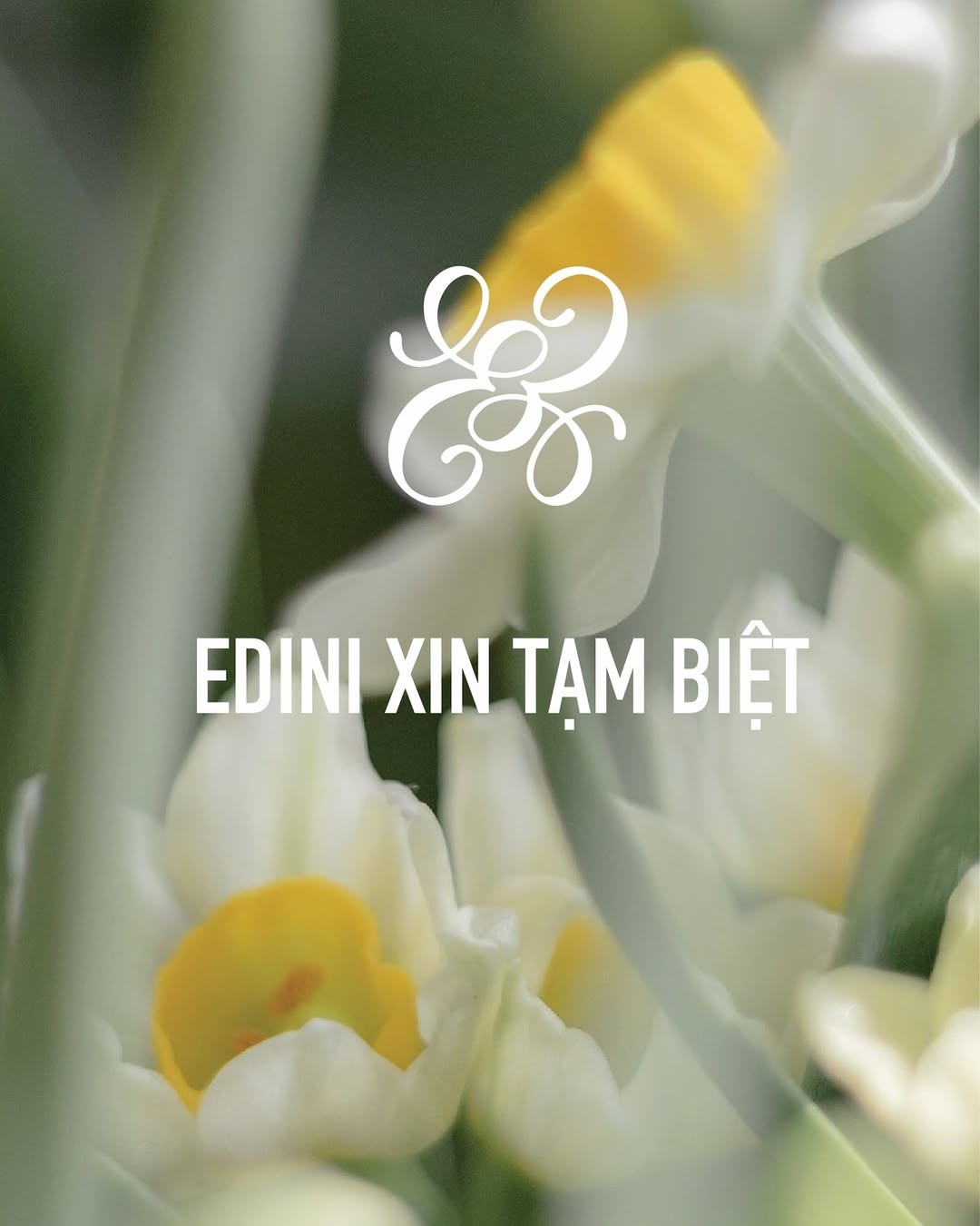 Lật tẩy chiêu trò 'đóng cửa', 'dừng hoạt động' của local brand Việt