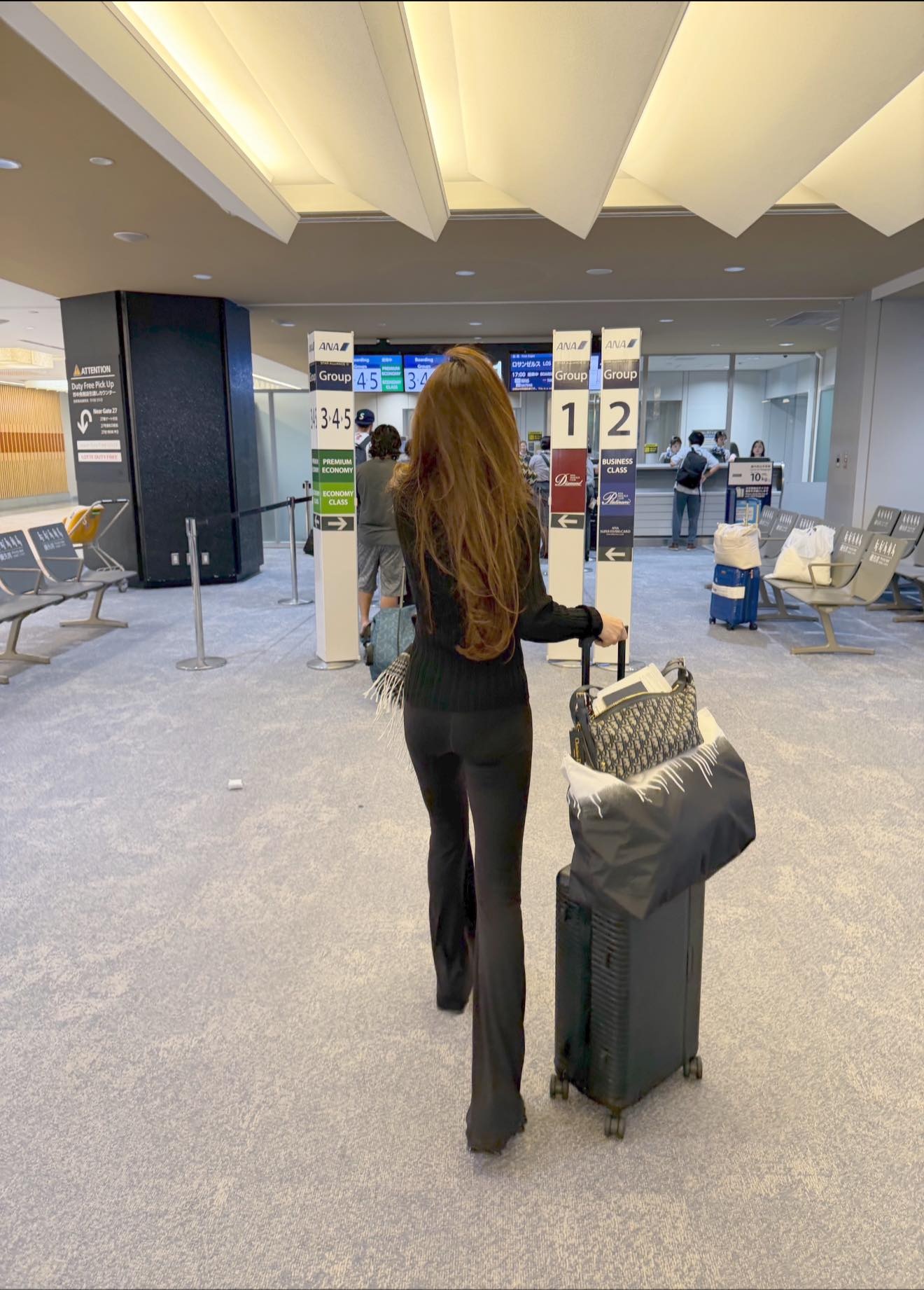 Hermes Kelly,  Hermes Birkin,  Medium D-Journey Bag,  Lady Dior,  Truong Ngoc Anh, Truong Ngoc Anh bi bat anh 2