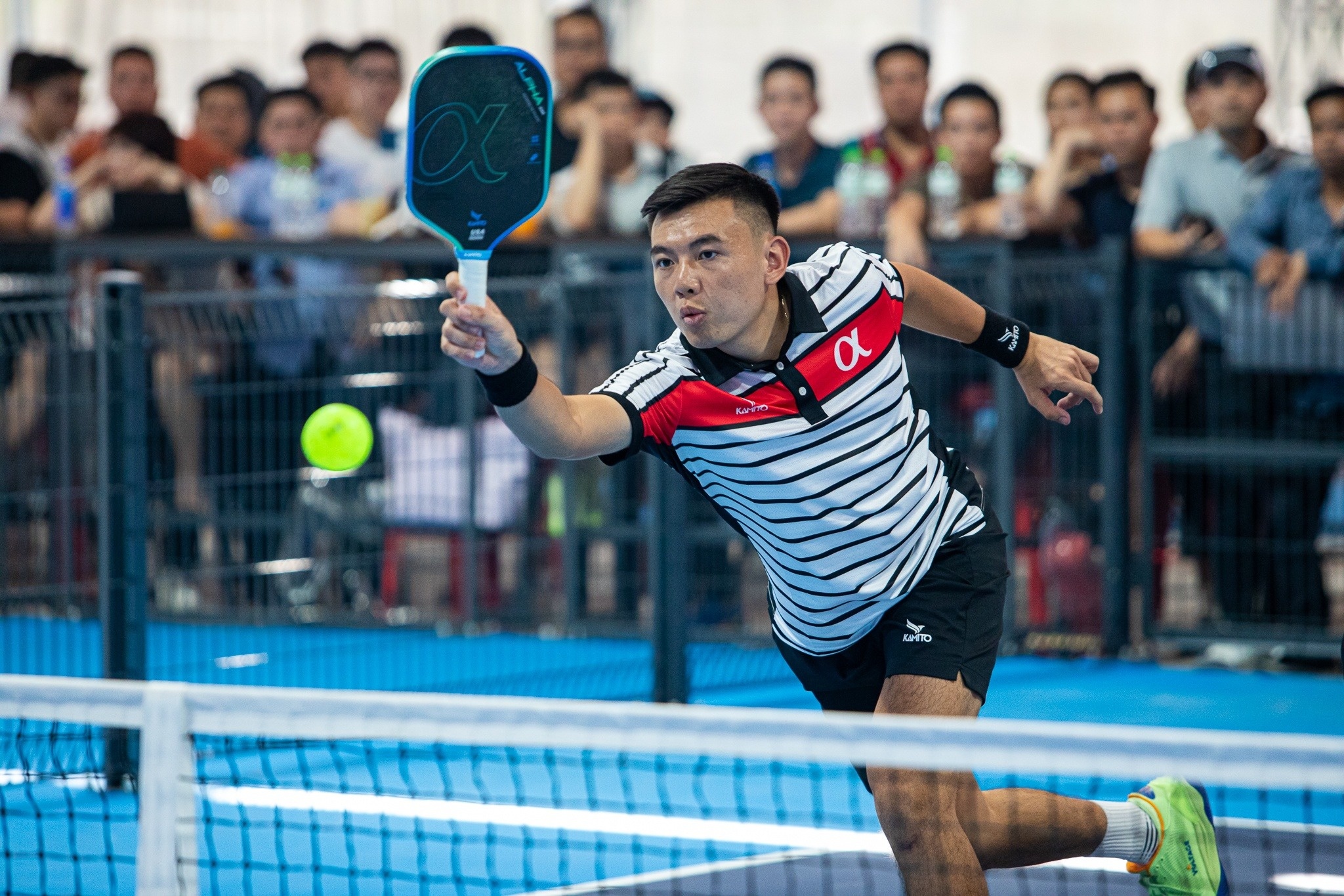 pickleball,  van dong vien,  the thao anh 13