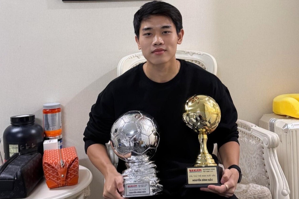 Tui hieu Louis Vuitton cua Dinh Bac hinh anh