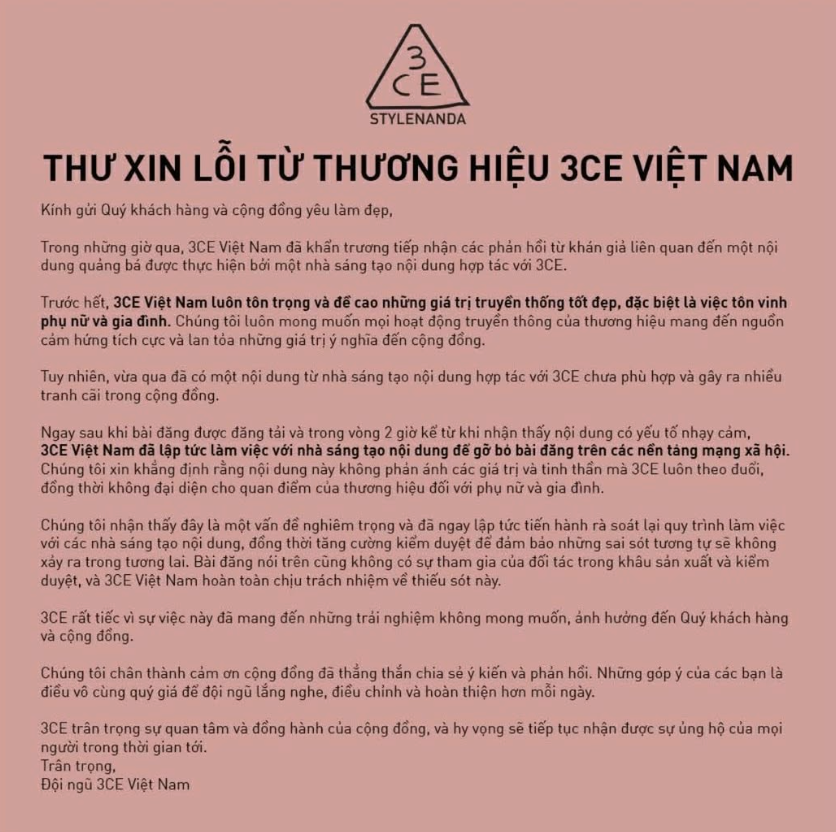 3CE,  bao luc,  bao luc gia dinh,  8/3,  phu nu anh 1