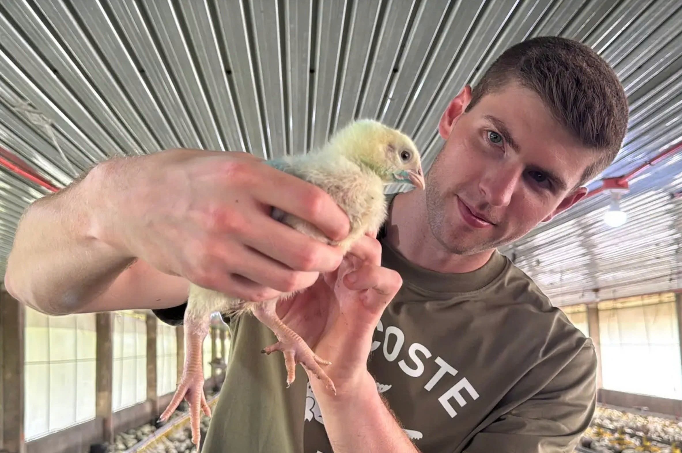 Nghi viec ngan hang luong tram nghin USD de cho ga an hinh anh