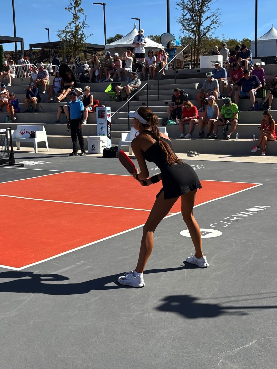 pickleball,  van dong vien,  tay vot anh 4