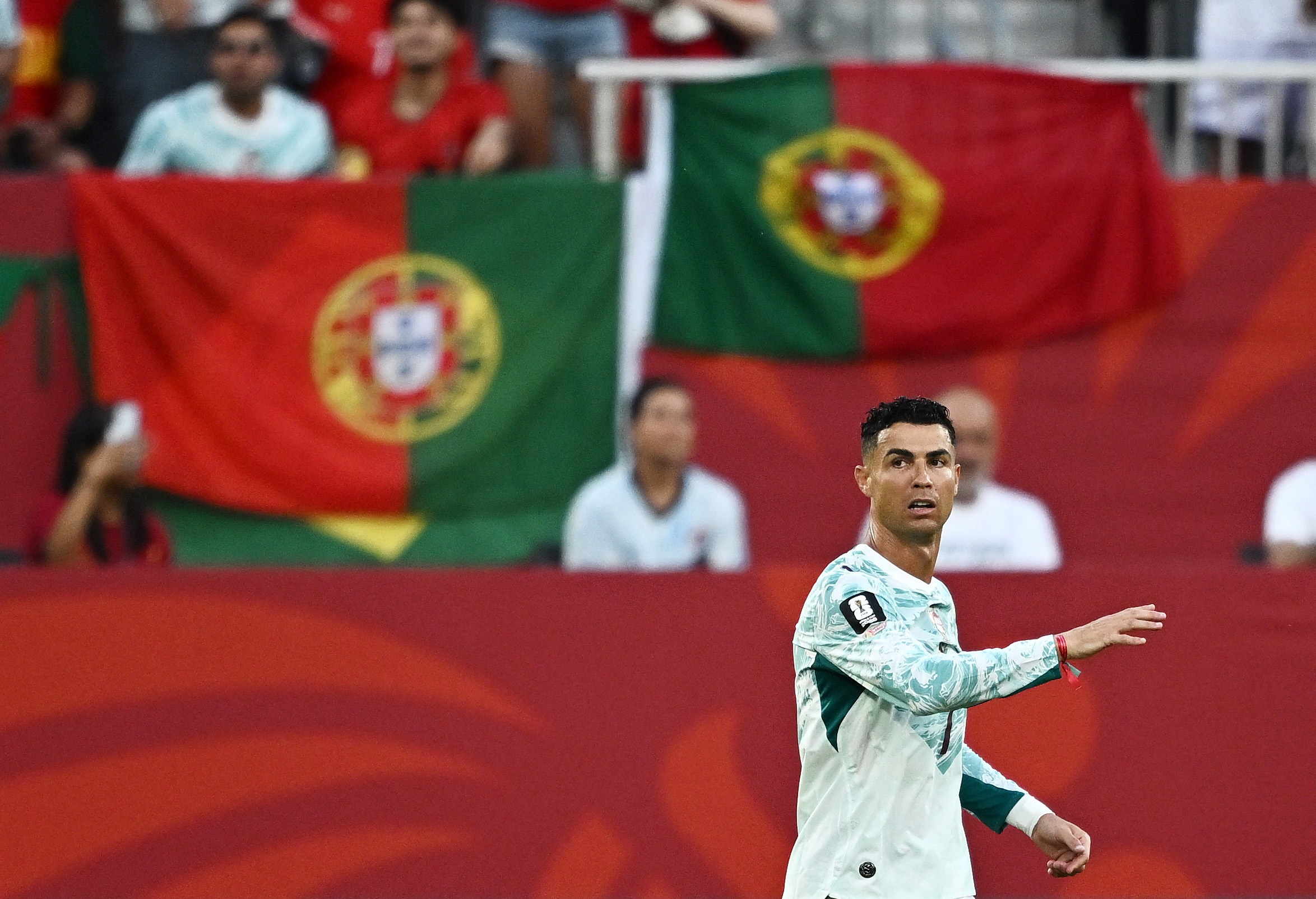 World Cup,  co dong vien,  Ronaldo,  nguoi ham mo anh 1