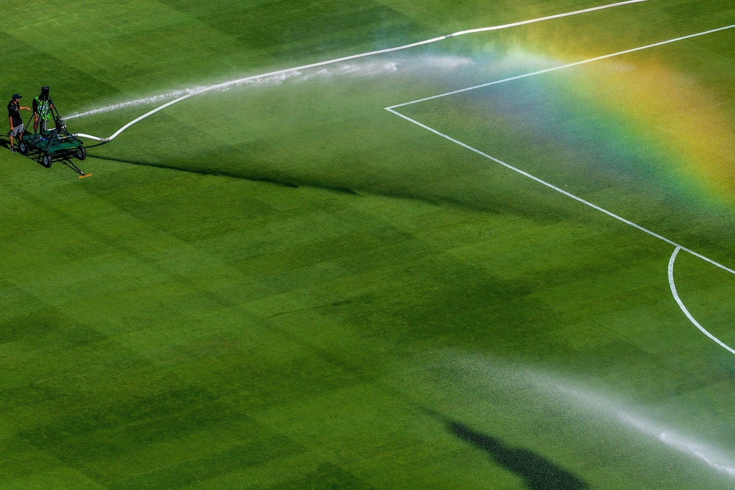 FIFA,  cỏ,  MetLife,  s&acirc;n,  v&eacute;,  gi&aacute; v&eacute; ảnh 2