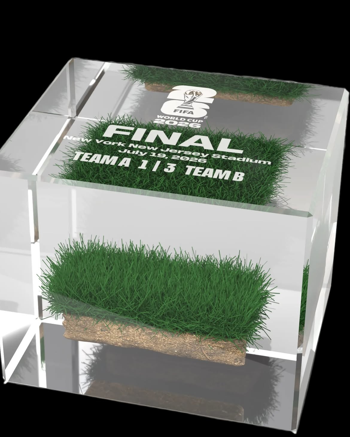 FIFA,  cỏ,  MetLife,  s&acirc;n,  v&eacute;,  gi&aacute; v&eacute; ảnh 1