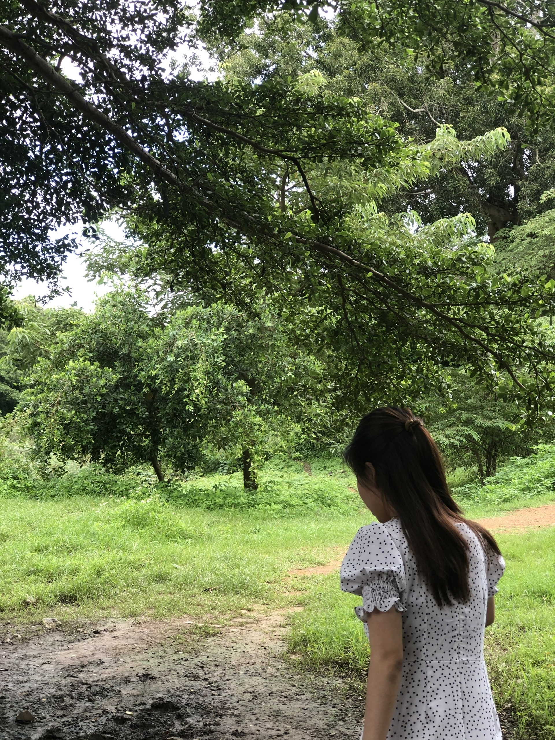 tiết kiệm,  lạm ph&aacute;t,  lối sống,  tiền ảnh 6