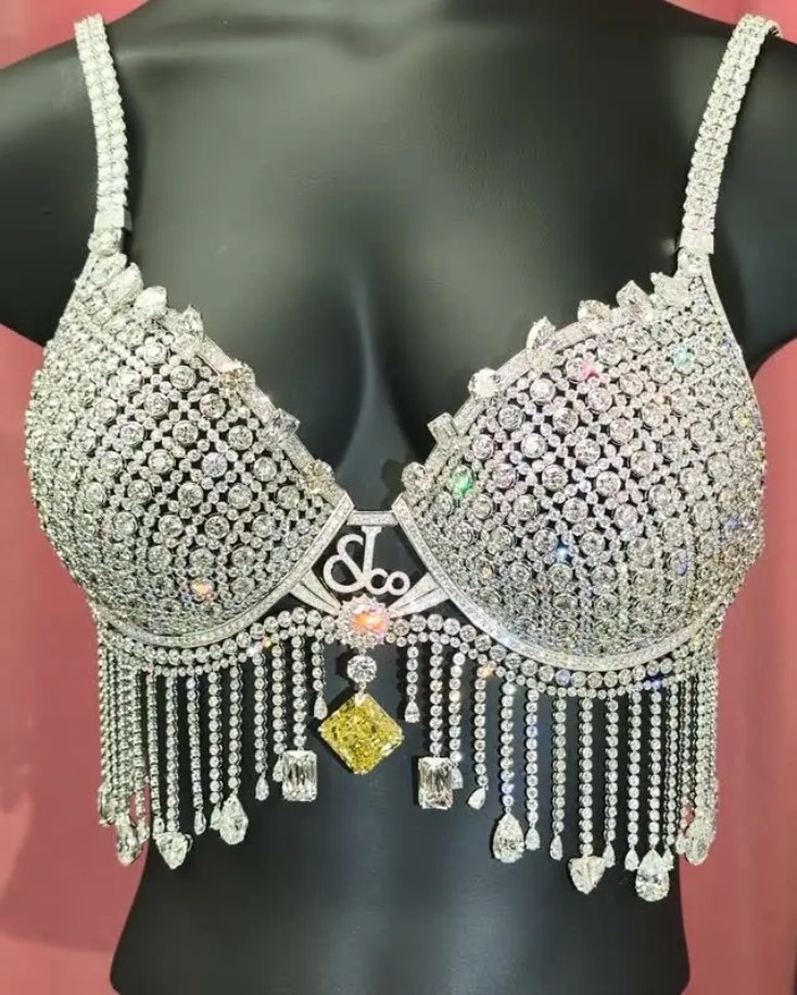 Kylie Jenner,  bra,  Fantasy Bra ảnh 3