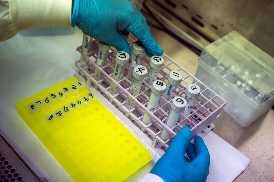 bien chung Omicron anh 3