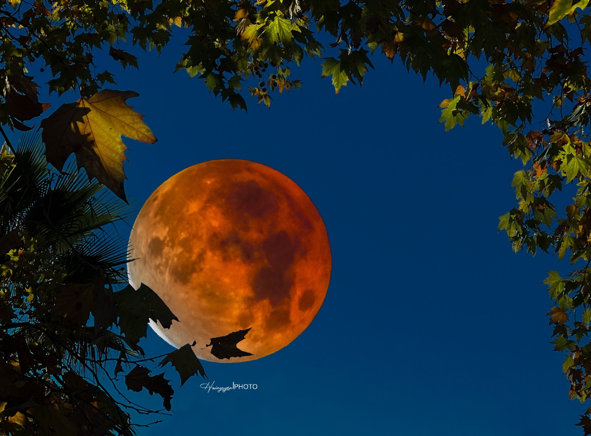 khoanh khac dang nho 2021 anh 7