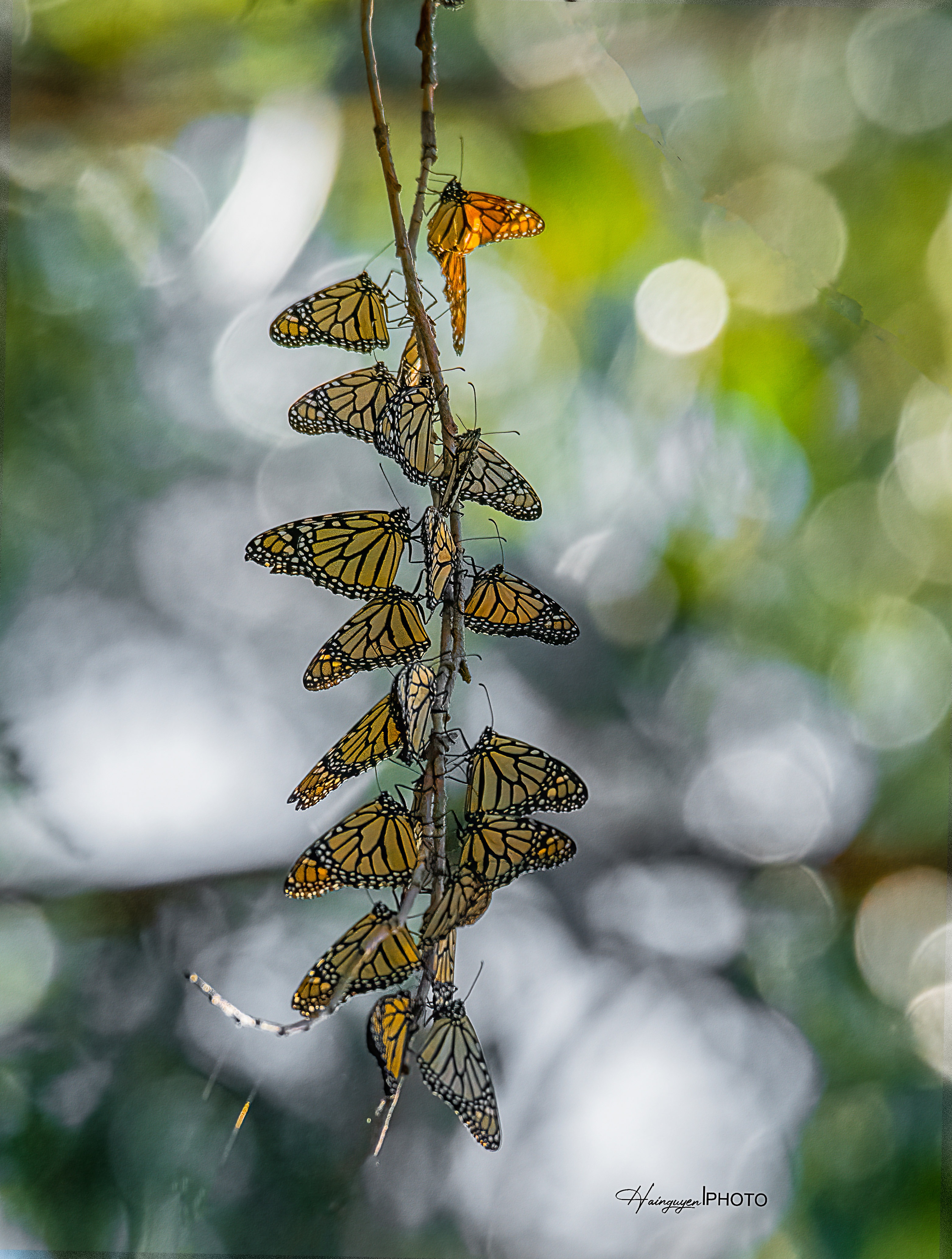 khoanh khac dang nho 2021 anh 17