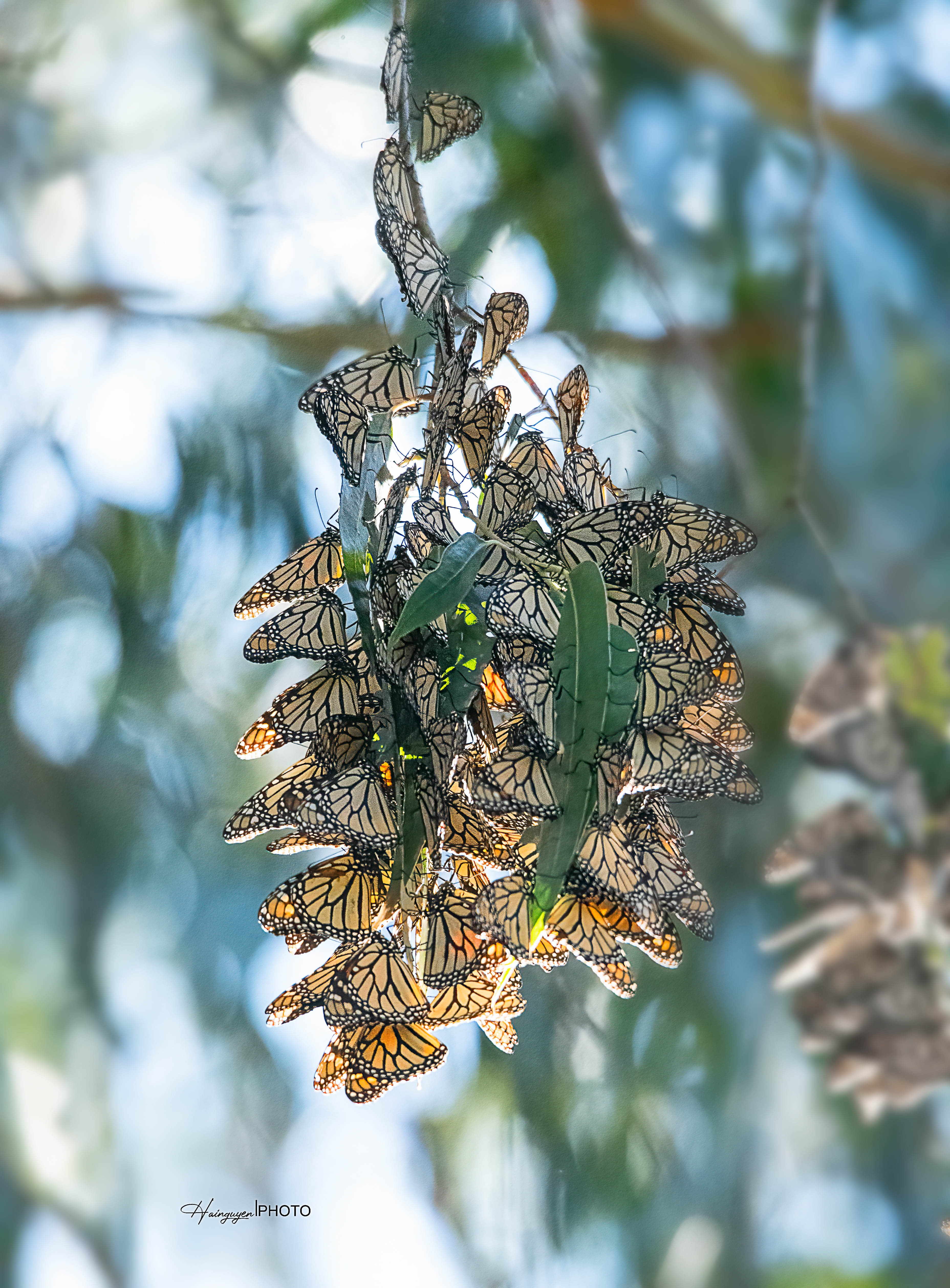 khoảnh khắc đáng nhớ 2021 ảnh 16 khoanh khac dang nho 2021 anh 16