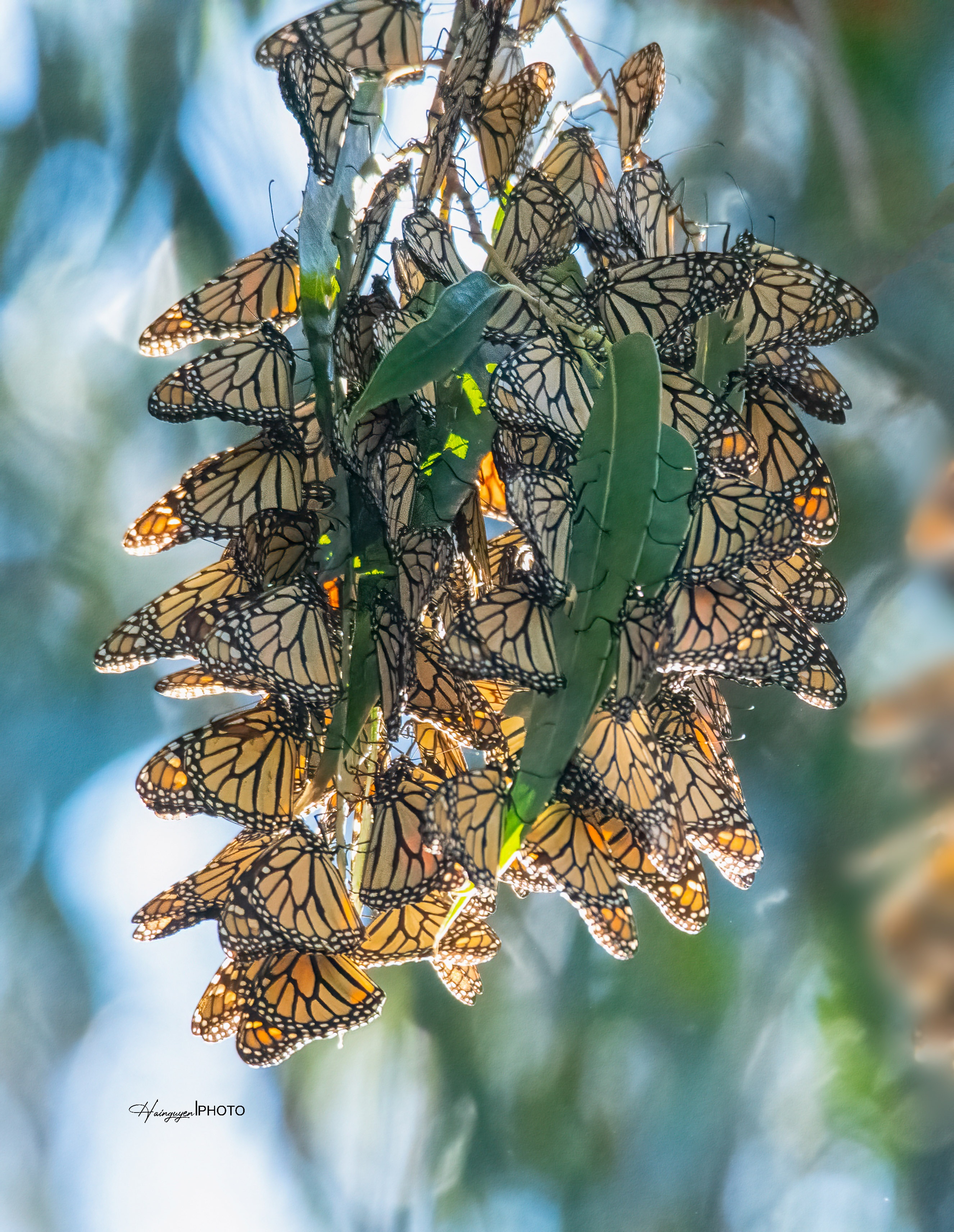 khoảnh khắc đáng nhớ 2021 ảnh 15 khoanh khac dang nho 2021 anh 15