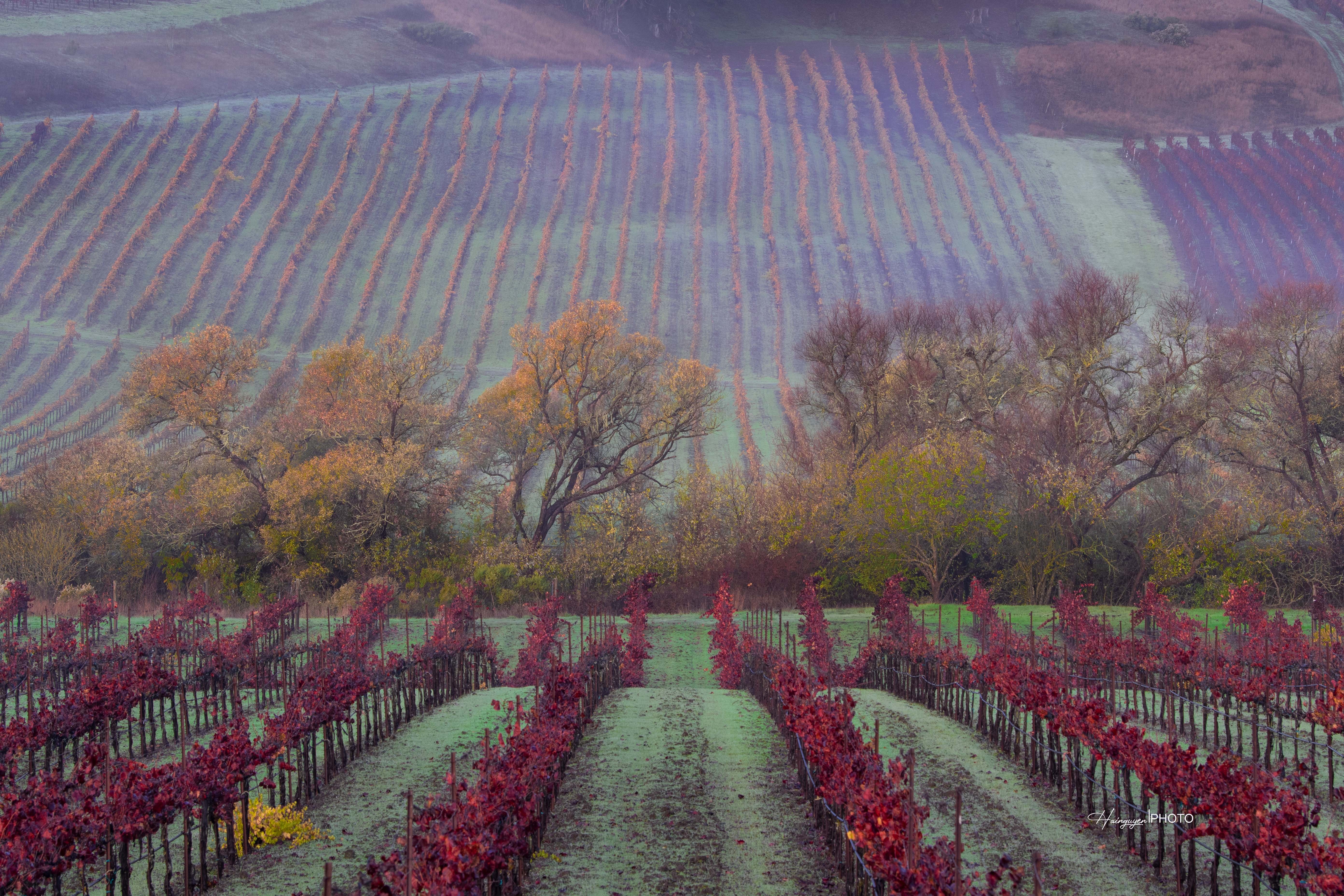 khoanh khac dang nho 2021 anh 11