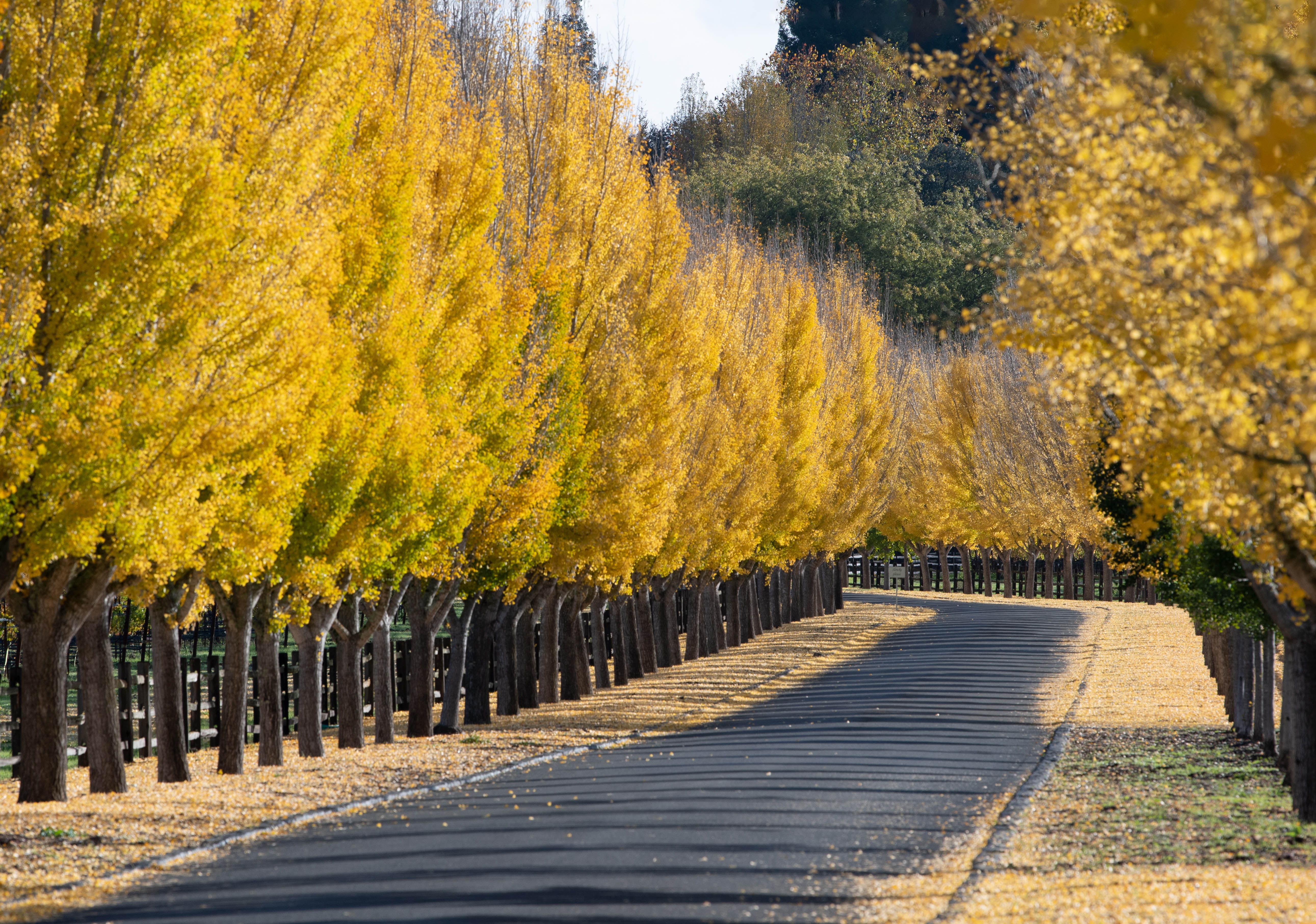 khoanh khac dang nho 2021 anh 12