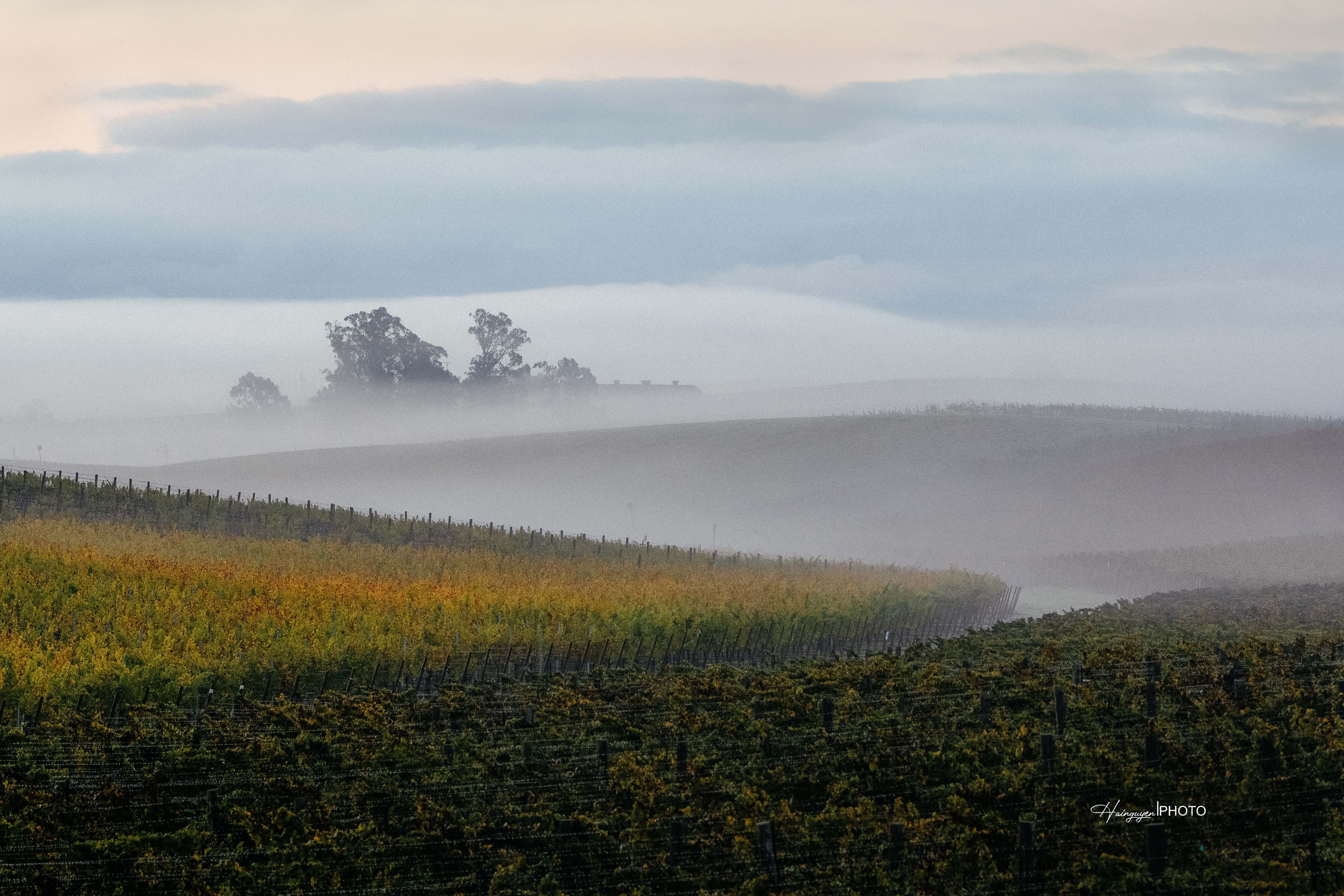 khoanh khac dang nho 2021 anh 13