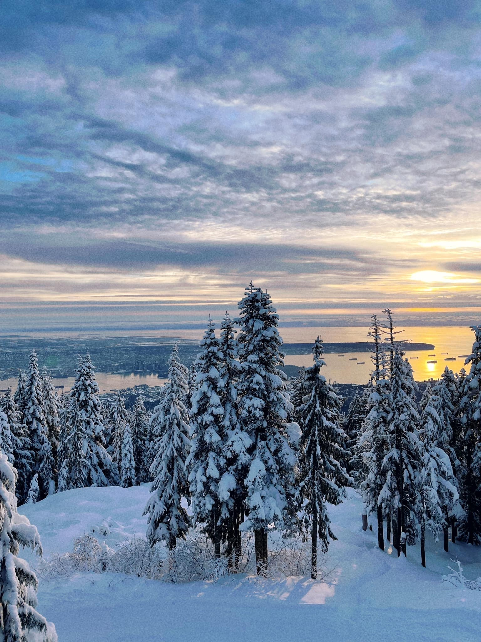 Mua dong Canada trong long nguoi Viet anh 3