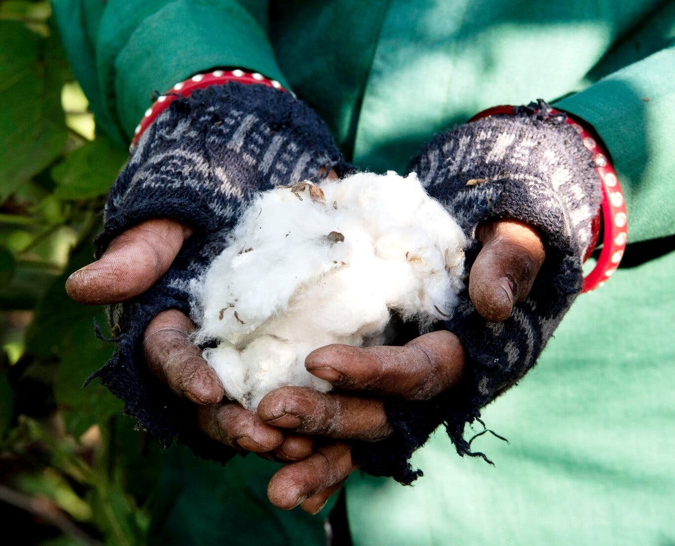 Nhieu nguoi co the da bi lua voi cai goi la 'bong huu co' hinh anh