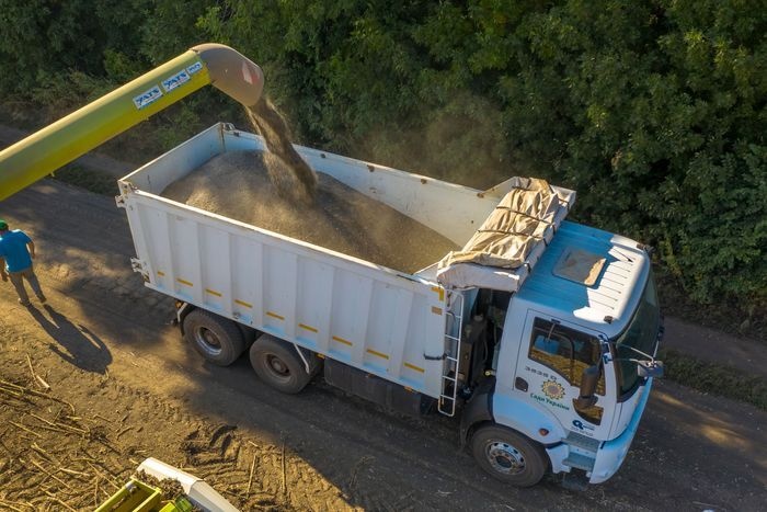 gia dau an tang anh 3