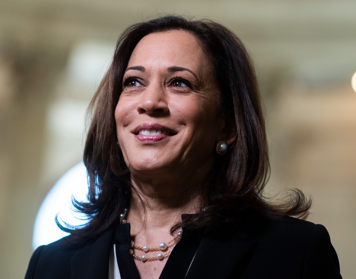 Pho tong thong My mac Covid-19 hinh anh