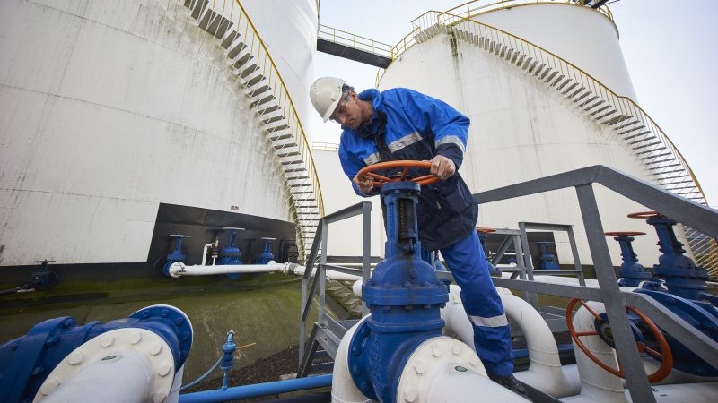 Ba Lan, Bulgaria nhan khi dot tu lang gieng EU de thay the Nga hinh anh