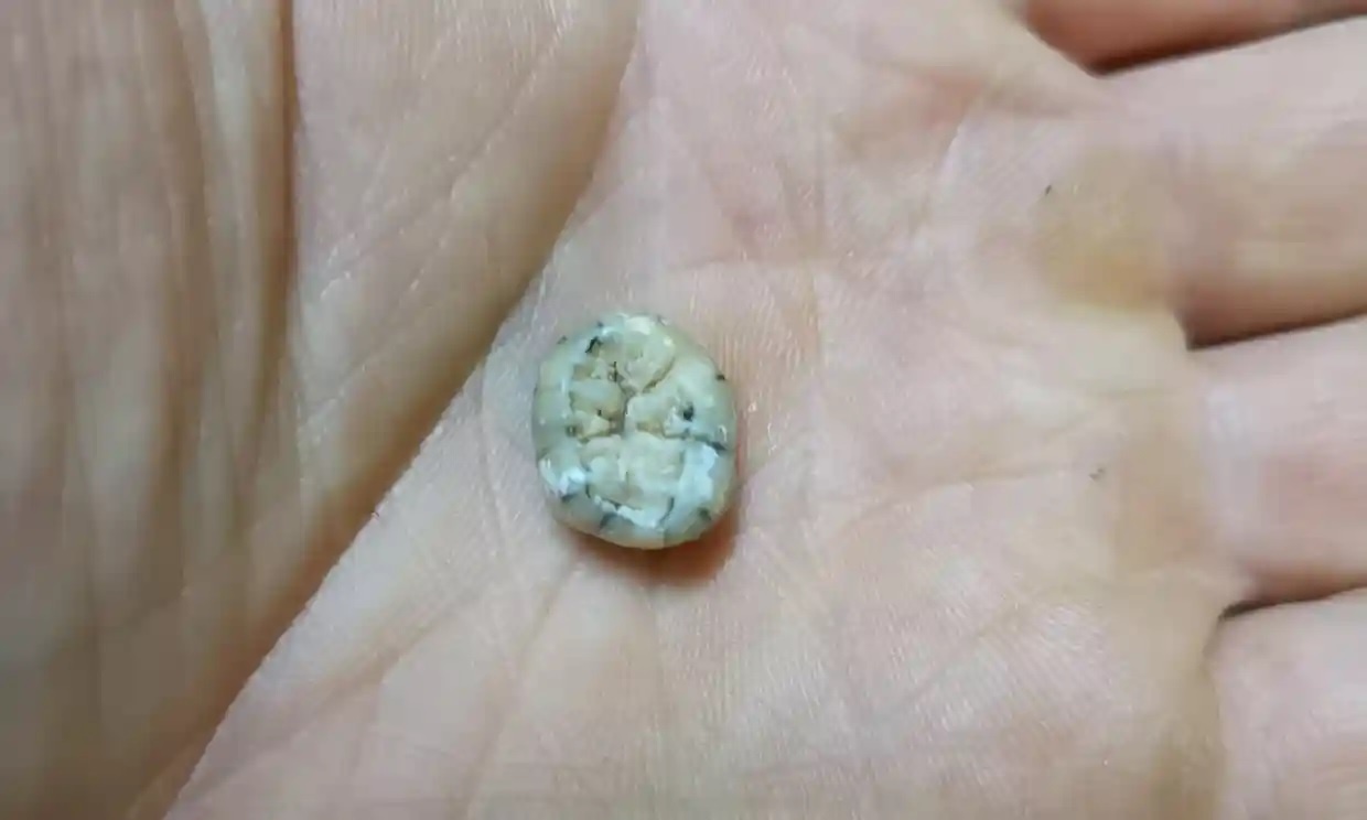 Chiec rang 130.000 nam tuoi o Lao tiet lo manh moi moi ve loai nguoi hinh anh