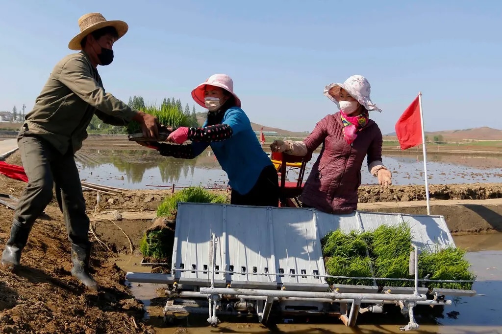 dich Covid-19 o Trieu Tien anh 3