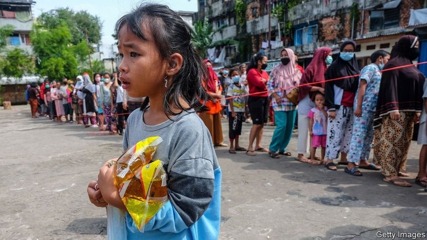 Nhieu nguoi kiet suc toi chet khi xep hang mua dau an o Indonesia hinh anh