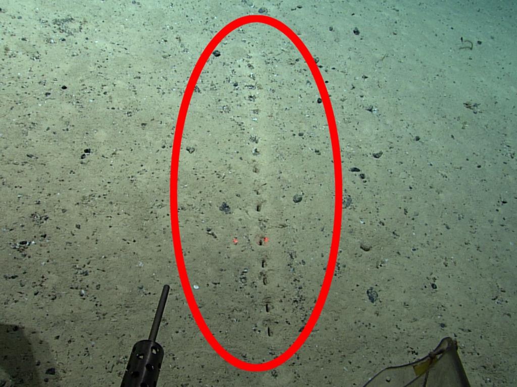 Nhung chiec lo bi an duoi day dai duong hinh anh