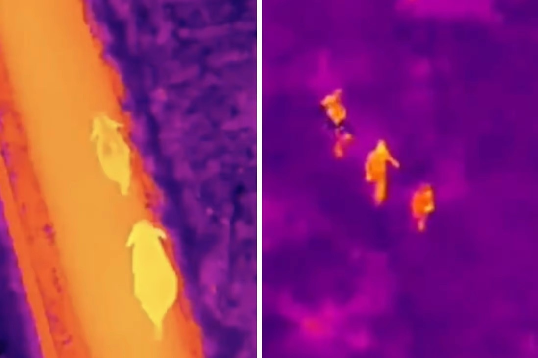 ‘Biet doi voi’ giup canh sat Trung Quoc bat giu 5 nguoi vuot bien hinh anh