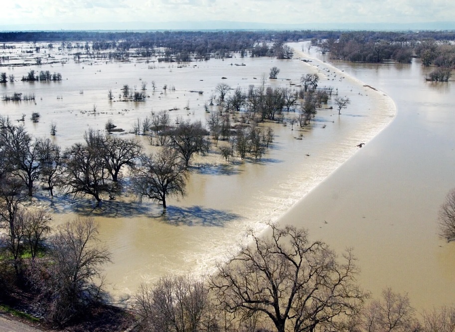 lu lut o California anh 1