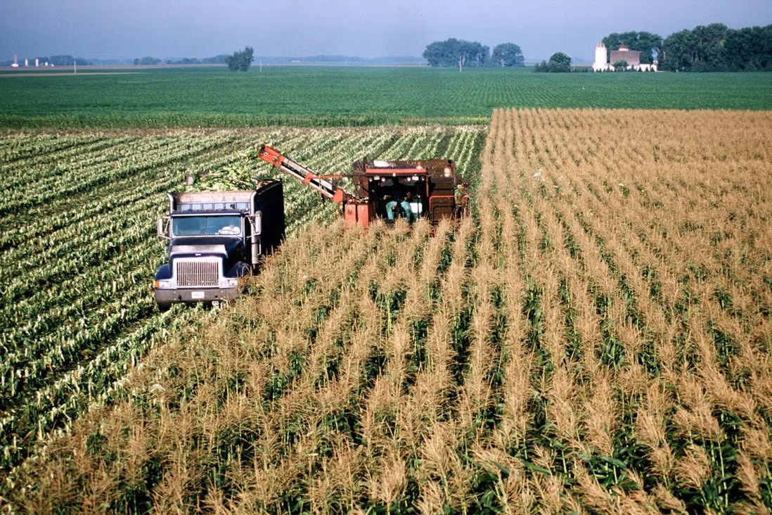 Thuong vien My can nhac cam Trung Quoc dau tu vao nong nghiep hinh anh