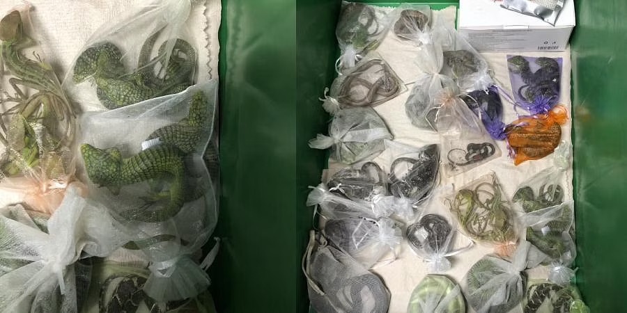 buon lau bo sat anh 1