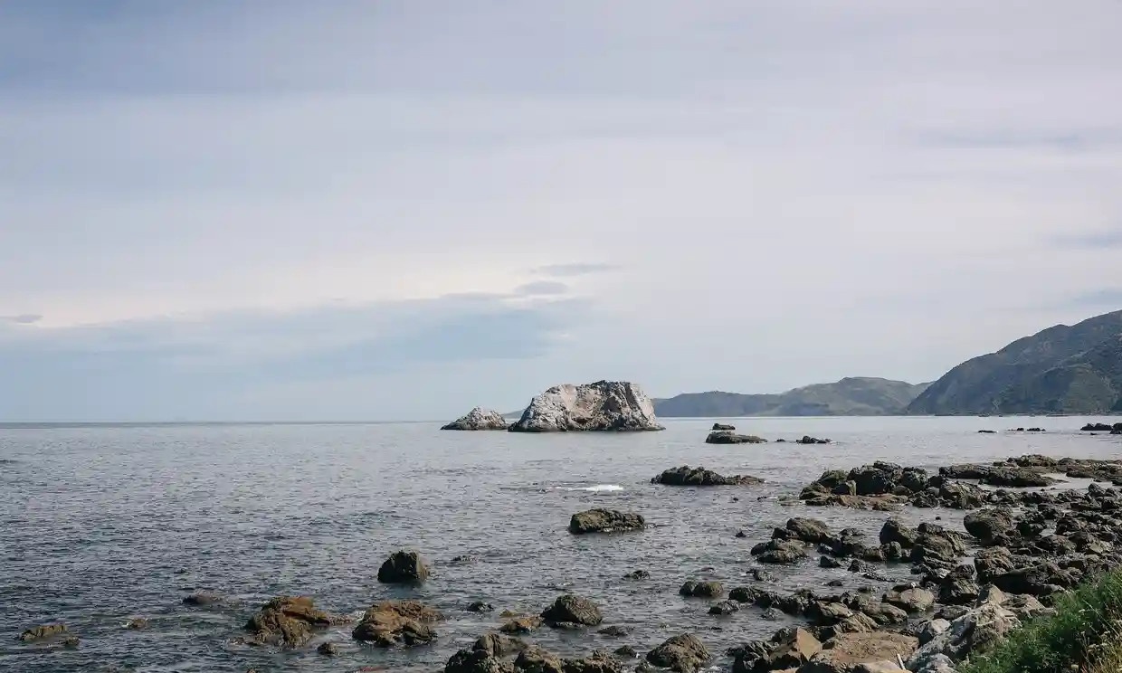 thuyen va cham ca voi anh 1