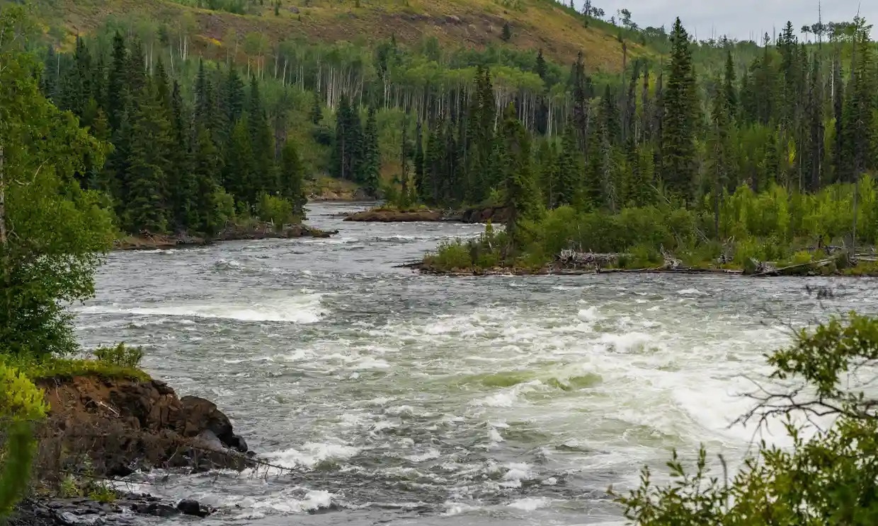 ca tam chet hang loat anh 2