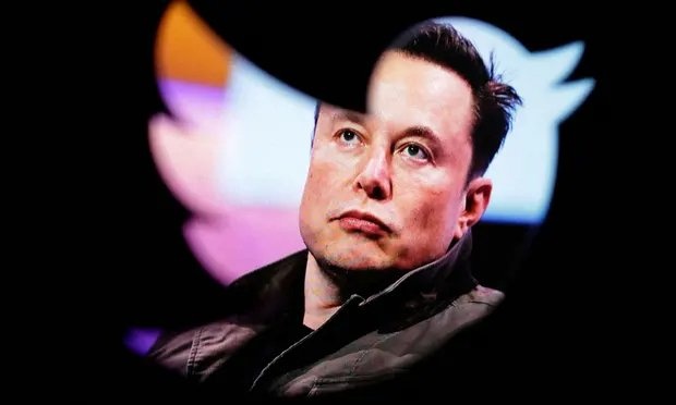 Nhieu nguoi dung Twitter do xo doi ten tai khoan thanh Elon Musk hinh anh
