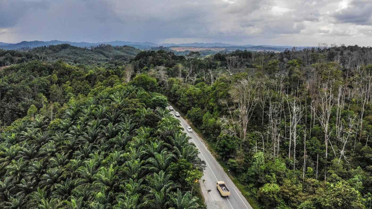indonesia dời đô ảnh 3 indonesia doi do anh 3