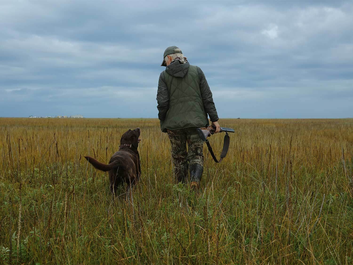 Cho vo tinh no sung ban chet chu o My hinh anh