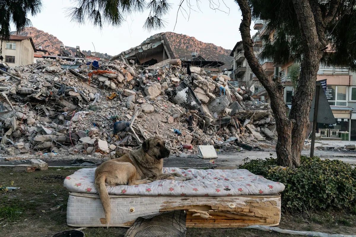 động đất Thổ Nhĩ Kỳ ảnh 10 dong dat Tho Nhi Ky anh 10