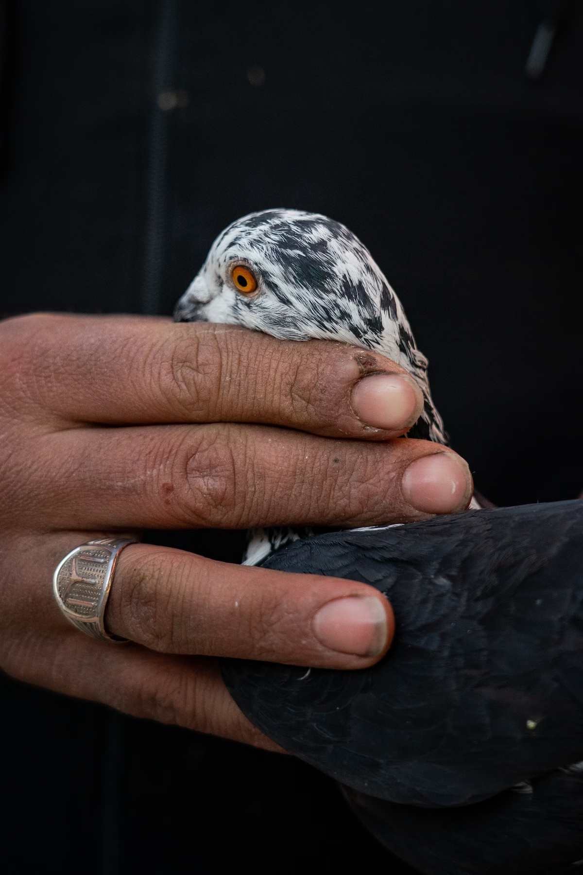 động đất Thổ Nhĩ Kỳ ảnh 7 dong dat Tho Nhi Ky anh 7